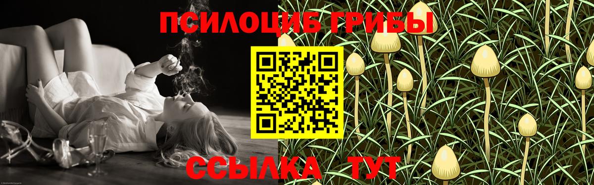 Псилоцибиновые грибы MAGIC MUSHROOMS  Галлюциногенные грибы Psilocybe  цена   Вход с VPN  Гай 