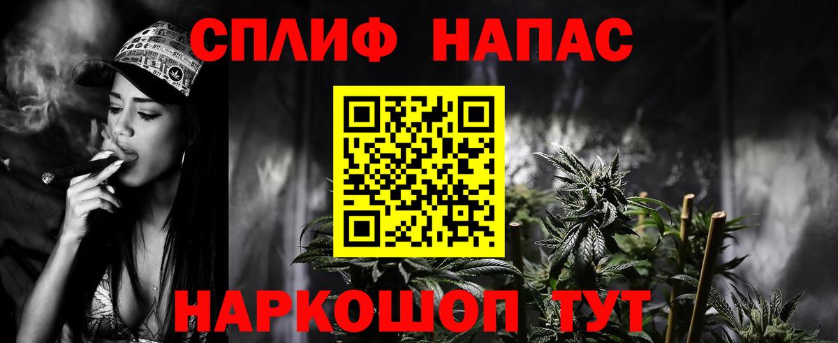 Шишки марихуана ГИДРОПОН Гай